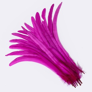 35-40 cm fête carnaval décor bricolage artisanat Floral chapeau chapellerie chapeaux accessoire prune teint poulet coq Coque queue plumes - Product Image 4