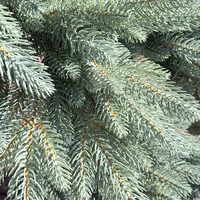 Arbre de Noël Artificiel Personnalisé, Direct Usine, pour Décoration de Chambre et Mariage QYYN-433