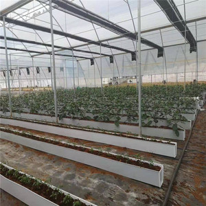 Nouvelle arrivée <span class=keywords><strong>prix</strong></span> <span class=keywords><strong>de</strong></span> gros gouttière fraise laitue tomate système d'irrigation goutte à goutte culture hydroponique - Product Image 6