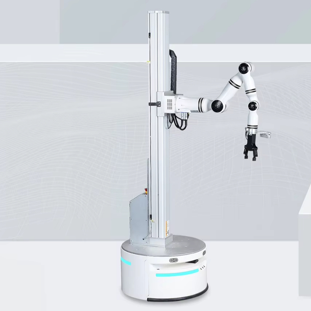 Compound Lifting Robot Small Multi Axis Robot Collaborative Warehouse Work Robots