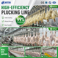 Ligne d'abattage de volailles 6000-8000BPH, équipement d'abattage de poulets, usine clé en main