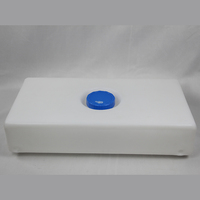 Réservoir d'eau blanc pour camping-car Série horizontale/verticale avec plusieurs options de capacité pour caravane de stockage d'eau propre