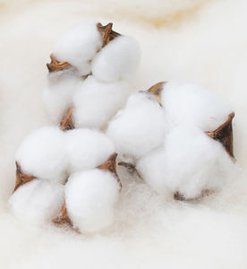 H5397 Venta al por Mayor, Sudaderas Personalizadas de 12 Colores, 3XL, 345 Gramos, Manga Regular, Diseño de Dibujos Animados, Otoño, Color en Contraste, para Hombre y Mujer - Product Image 6