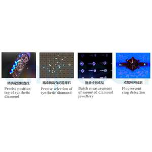 เครื่องทดสอบเพชร <span class=keywords><strong>Lonsdaleite</strong></span> GIA สำหรับเครื่องมือทดสอบทองคำยุค 90 220V สำหรับจี้เด็ก นาฬิกาข้อมือ อุปกรณ์ตรวจสอบอัญมณี Gemtrue - Product Image 1