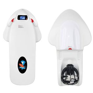 Batteria al Litio Ferro 3200W 36V 12Ah Mini Bladefish Sea, Produzione Cinese 2026 - Product Image 1