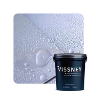 Vissney Matte Sealent Nano Recubrimiento Hidrofóbico Barniz Impermeable Pintura