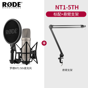 <span class=keywords><strong>Rode</strong></span> NT1 5th Large Shock Film Micrófono de condensador en forma de corazón HF6 Micrófono de condensador de estudio de grabación de oro de 1 pulgada - Product Image 3