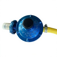 Régulateur manuel basse pression pour butane/gaz GPL avec tuyau et kit de fixation en alliage d'aluminium, réducteur de pression basse température, port 3/8 pouces