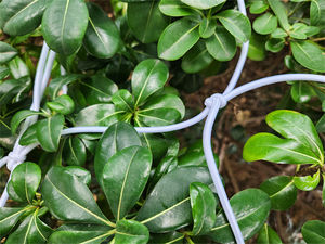 Kamyon için Yükü Sabitleyen Araç Kargo Ağı - Product Image 5