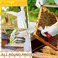 Kit de démarrage d'apiculture de marque Grapefruit, 30 pièces, état neuf, avec garantie d'un an, outils et fournitures d'apiculteur, y compris une combinaison d'apiculteur