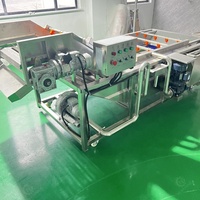 Machine à laver les fruits et légumes Dates de séchage Ligne de production par piqûres Machine à laver les bulles Prix du lave-fruits automatique