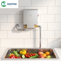 OZOTEK Purificateur d'eau à l'ozone domestique TWO003 Inbuilt Venturi 0.2-1.0PPM pour machine à laver