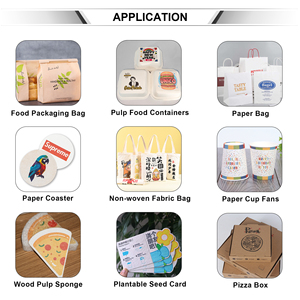 <span class=keywords><strong>Imprimante</strong></span> jet d'encre haute précision Chicai X800 2026 nouvelle génération à grande vitesse et passage unique pour sacs en papier et boîtes à pizza - Product Image 3