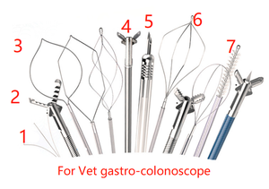 Offre Spéciale : Système d'Endoscopie Vétérinaire DMNK06 Personnalisé sur Chariot pour Cliniques Vétérinaires - Product Image 5