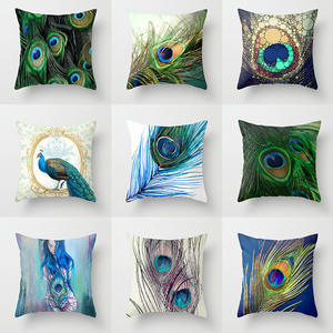 when to start using maternity pillow