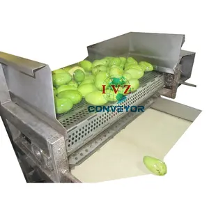 工業用野菜新鮮果物洗浄乾燥処理機械洗濯機コンベヤー