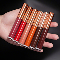 Rouge à Lèvres Mat Marque Blanche 41 Couleurs OEM Naturel Résistant à l'Eau, Brillant à Lèvres Liquide Mat Végan, Vente en Gros