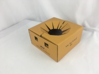 Personnalisé Nouvelle Tendance Populaire Recyclable Unique Rose Fleur Pot Boîte Fleuriste Livraison De Fleurs Vase Emballage Coffrets Cadeaux Pour Plantes