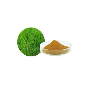 Herstellerlieferung Rosmarin-Extrakt Mehrere Spezifikationen Schnelle Lieferung Unabhängige Prüfung - Product Image 6