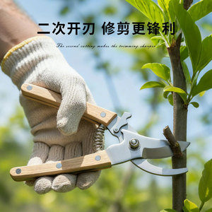 Garden <b>Pruning</b> Shears Carbon Steel Straight Headed Bird Beak For Fruit <b>Tree</b> Flower Trimming Garden <b>Tools</b> - Product Image 2