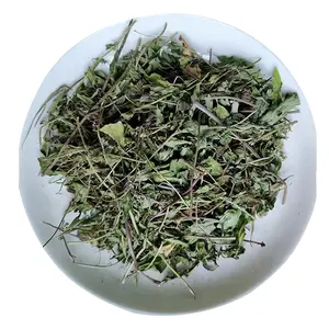 1 Kg/bag Chinese Herbal Medicine Raw Material Peppermint Tea Cut Mint Tea Cutting