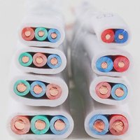 Kabel Daya Bangunan Berinti Tembaga Padat 2/3 Core, Kawat Tanah Kembar Pipih, Berisolasi PVC, 300V/500V