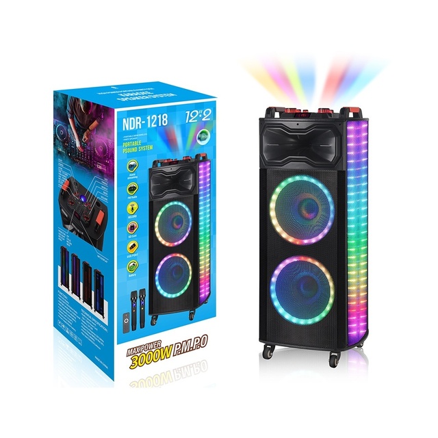 Factory New 100W Dual 12inch Audio for Bluetooth Speaker with RGB LED Lighting High Power Long Battery Life