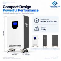 Batterie résidentielle 15,36 kWh 51,2 V 300 Ah LiFePO4 pour stockage d'énergie domestique, solaire et alimentation de secours