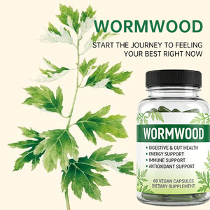 Kapsul Wormwood Label Pribadi OEM Suplemen Herbal Wormwood untuk Mendukung Kesehatan Pencernaan & Usus - Product Image 4