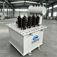 Transformador de excitación eléctrico horizontal sumergido en aceite, unidad de excitación elevadora dedicada, 300 kVA, alta precisión 1%