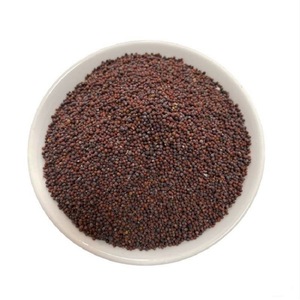 Graines <span class=keywords><strong>de</strong></span> <span class=keywords><strong>moutarde</strong></span> noire entières <span class=keywords><strong>de</strong></span> qualité supérieure pour la cuisine, l'assaisonnement, les marinades, les mélanges d'épices en vrac, fournitures <span class=keywords><strong>de</strong></span> cuisine - Product Image 2