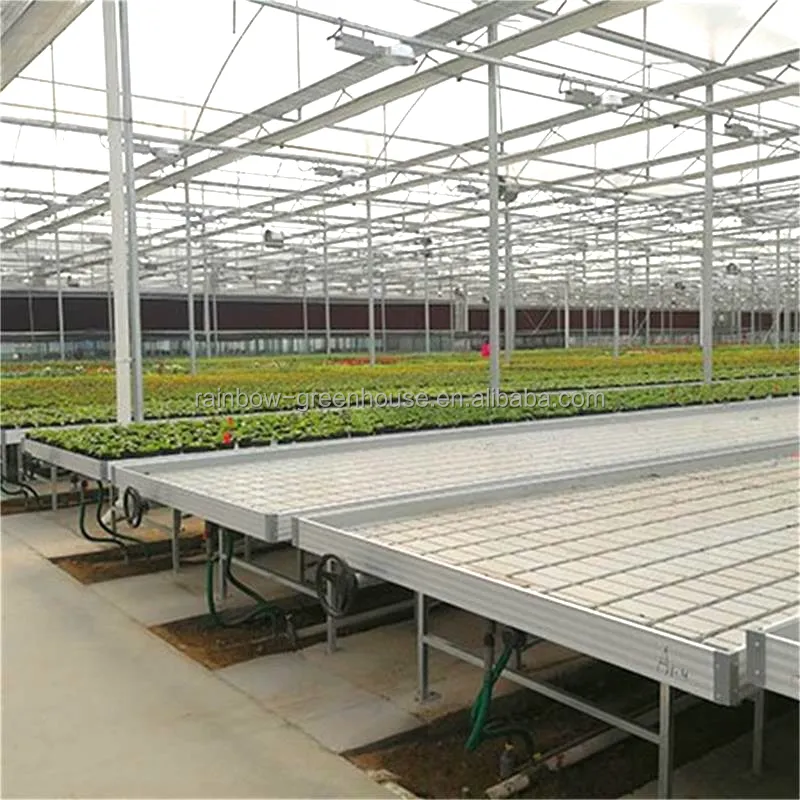 温室可動式水耕栽培ローリング繁殖EbbおよびFlow成長ベンチ