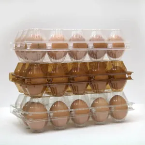 High Quality Egg Tray Food Container Plastic Tray Thermoforming Machine