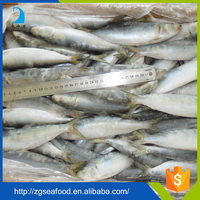 Différents types de poissons en conserve Meilleure conserve de sardines