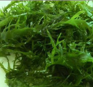 สาหร่ายโนริแห้งธรรมชาติ จี๋กวนจ้าว ขนาด 1 กิโลกรัม/ถุง - Product Image 3