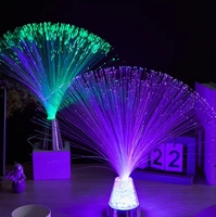 2025 vente en gros jouet créatif veilleuse USB alimenté faible consommation d'énergie coloré clignotant couleur changeante lanterne à Fiber optique