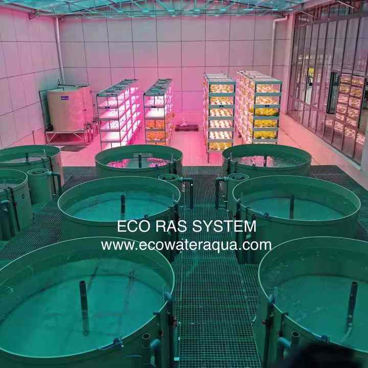 ECO Mini Ras System Fish Farming Aquaculture Equipment| Alibaba.com
