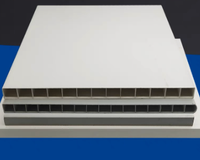 Panneaux creux en PVC personnalisés pour murs, fenêtres et clôtures - Cloison de bâtiment industriel avec service de découpe, imperméable et résistant au feu