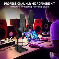 Microphone à condensateur professionnel BAIFEILI X404A pour PC de bureau, studio, avec support antichoc et suppression du bruit XLR