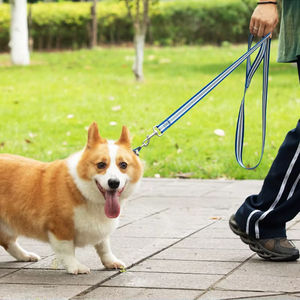 5ft cintura da corsa regolabile collare per animali in Nylon guinzaglio per cani ad alta resistenza guinzaglio nastro animale in Nylon 1.5m - Product Image 5