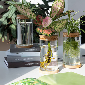 Terrario de Escritorio para Plantas, Estación de Propagación, Maceta de Vidrio para Mesa, Florero para Plantas Acuáticas con Tapa para Cultivar Plantas Hidropónicas - Product Image 3