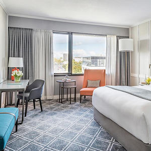 Cortinas Personalizadas, Cortinas Opacas Suaves 100%, Cortinas de Lujo Estilo Europeo, Cortinas para Hoteles - Product Image 5