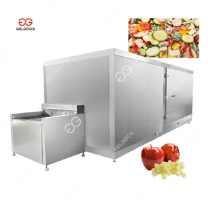 Instantâneo Iqf Nitrogênio Líquido Barhi Date Fruit Freezer Túnel De Refrigeração Automática Pequeno Octofrost Iqf Congelador De Túnel