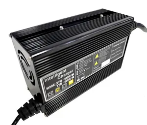 Professional Manufacturer15A 24V Car Battery Charger Lead Acid Lifepo4 Lithium Battery
