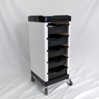Chariot de salon professionnel en acier inoxydable, 5 niveaux de rangement, 4 roues, design moderne pour salons de beauté, barbiers, salon