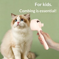 Vente directe usine : Peigne de nettoyage pour animaux de compagnie, spécial pulvérisation à un bouton, anti-poils volants, doux pour la peau
