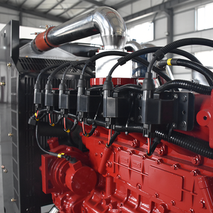 LPG 메탄 천연 가스 자동 발전기를 갖춘 공장 판매 세계 가스 발전 장비 - Product Image 2