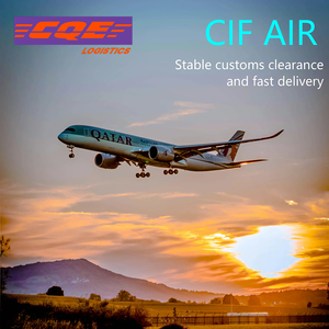 Spedizione Personalizzata dalla Cina agli USA con Amazon FBA, Spedizioniere USA LCL+Express, Costi di Spedizione in Canada, Sdoganamento Cinese - Product Image 2