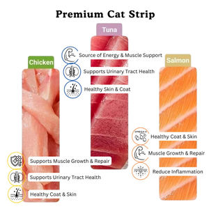 Cibo <span class=keywords><strong>per</strong></span> gatti umido completo ad alto contenuto proteico <span class=keywords><strong>capelli</strong></span> belli 15g Halal cibo <span class=keywords><strong>per</strong></span> gatti <span class=keywords><strong>per</strong></span> tutta la vita dolcetti <span class=keywords><strong>per</strong></span> gatti - Product Image 6