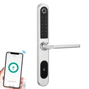 Tuya zigbee wifi smart door lock serratura intelligente scorrevole in alluminio rfid card hotel apartment home Lock